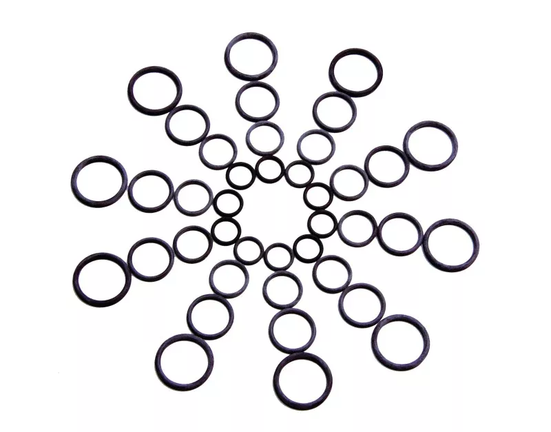 Aeromotive -10 Replacement Nitrile O-Rings (10)