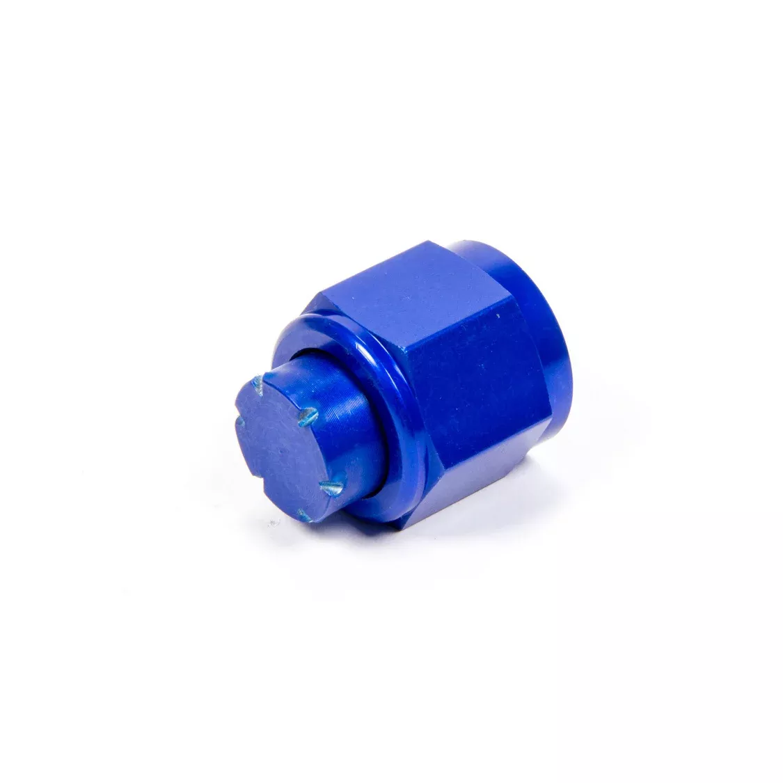 Aeroquip Aluminum Cap -10 AN - Blue FCM3742