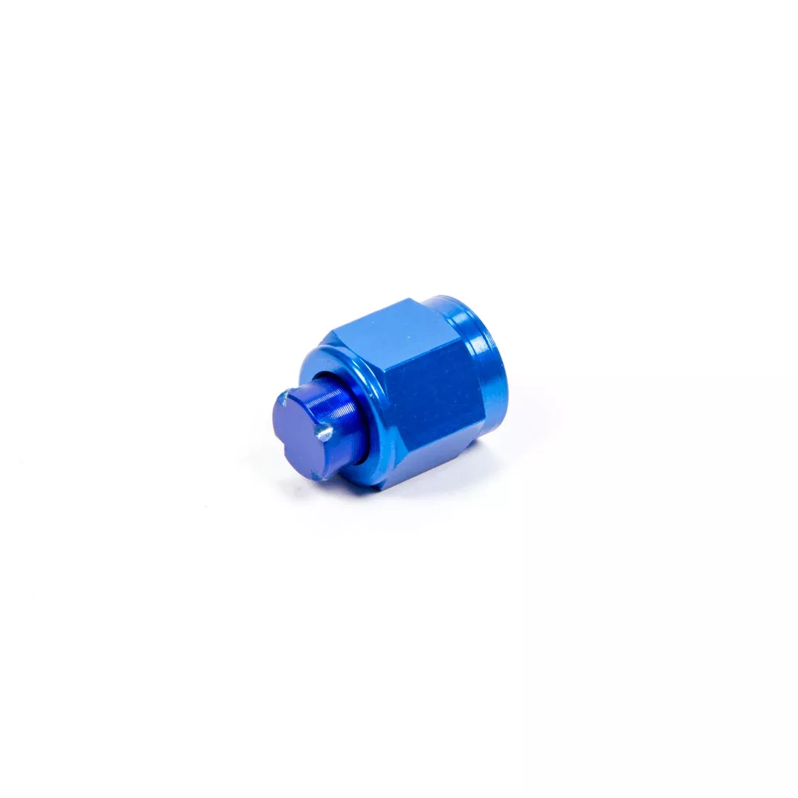 Aeroquip Aluminum Cap -6 AN - Blue FCM3740