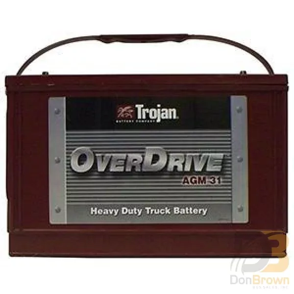 Battery, 12V Agm 31 3699031 1000255856