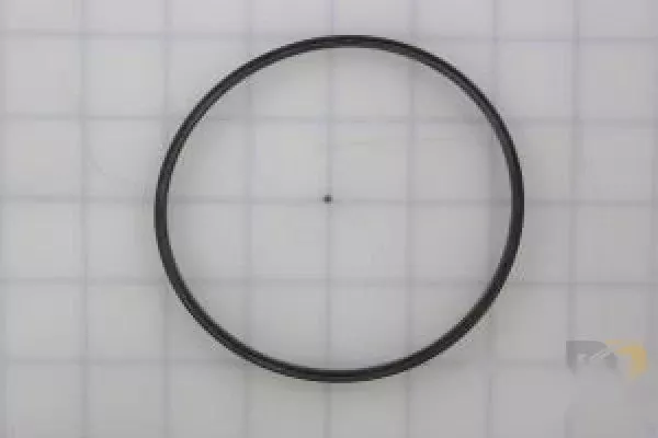 Gasket Fuel Pump E42056