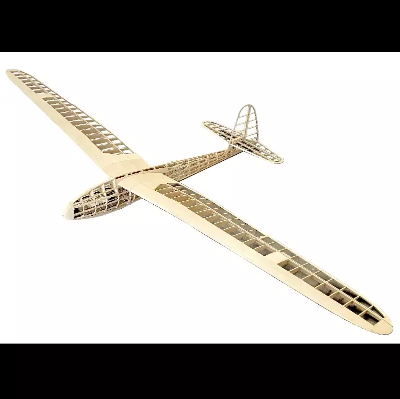 Lippisch G108 2750mm 108″ Glider or Electric