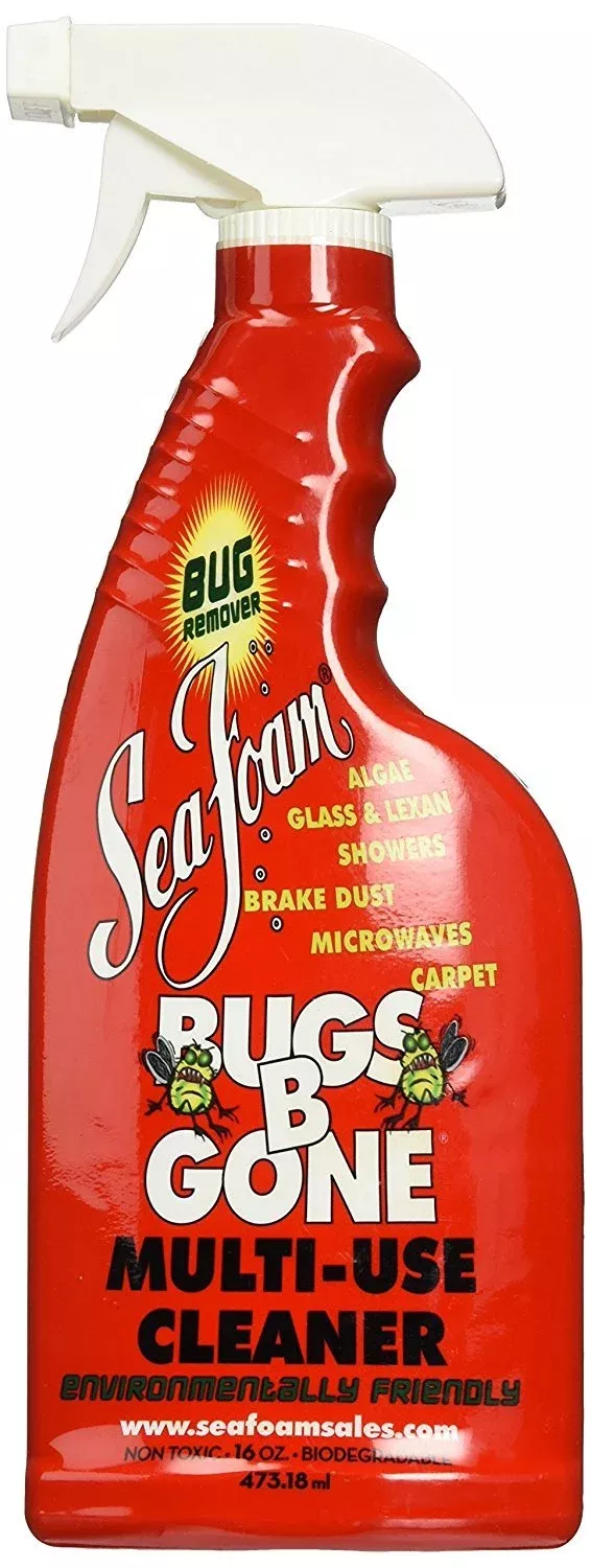 Sea Foam Bbg1 Cleaner