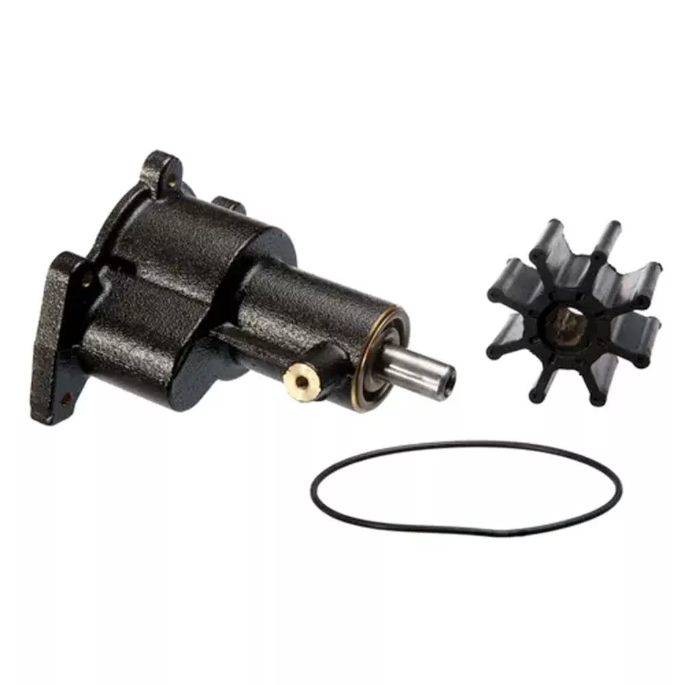 Sierra International 18-3160-1 Sea Water Pump, White